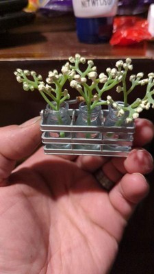 Mga's Miniverse Make It Mini Lifestyle Series 1 Succulents Mini  Collectibles 3pk : Target