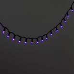 350ct Incandescent Halloween Mini String Lights Purple - Hyde & EEK! Boutique™