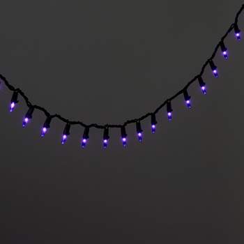350ct Incandescent Halloween Mini String Lights Purple - Hyde & EEK! Boutique™