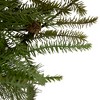 Northlight 21" Pine Christmas Tree Wall Hanging Decoration with Pinecones - 2 of 4