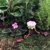 Flower Fairies Secret Garden Resin Medium Accessory for Fairy Gardens, Birdbath - 3 of 3