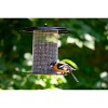 Bird Choice Modern Farmhouse Sunflower Seed Tub Bird Feeder 9.5" Black & White - 4 of 4