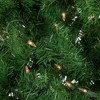 Northlight 4' Pre-Lit Sierra Noble Fir Artificial Christmas Tree, Clear Lights - 3 of 4