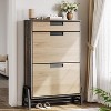 Shoe Storage Organizer with 2 Flip Drawers and 1 Drawer, Freestanding Narrow Shoe Rack, Shoe Storage Organizer with 3-Tier Adjustable Shelves - 2 of 4