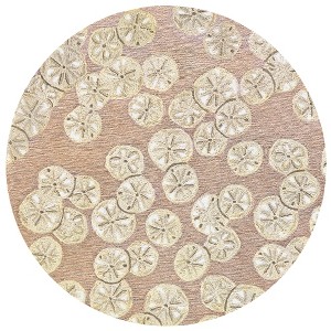Liora Manne Capri Coastal Indoor/Outdoor Rug.. - 1 of 4
