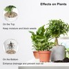 GASPRO 5 Pound Pebbles for Indoor Plants, 3/8 Inch Decorative Rocks for Vase, Succulents, Highly Polished, Mixed Color - 4 of 4