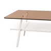Sapphtopaz Coffee Table Rectangle Center Dining Table with Tempered Glass Tabletop and 2-Layer Storage Rack for Living Room, Apartment - 3 of 4