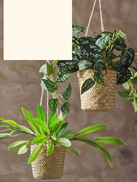 Faux leafy greenery in woven hanging baskets.