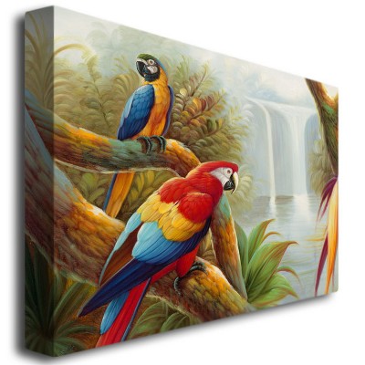 Trademark Fine Art -Rio 'Amazon Waterfall' Canvas Art