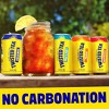 Twisted Tea Hard Iced Tea Party Pack - 12pk/12 fl oz Cans - 4 of 4