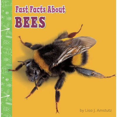 Fast Facts about Bees - (Fast Facts about Bugs & Spiders) by  Lisa J Amstutz (Paperback)