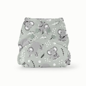 Esembly Cloth Diaper Outer Reusable Diaper Cover & Swim Diaper - (Select Pattern and Size) - 1 of 4