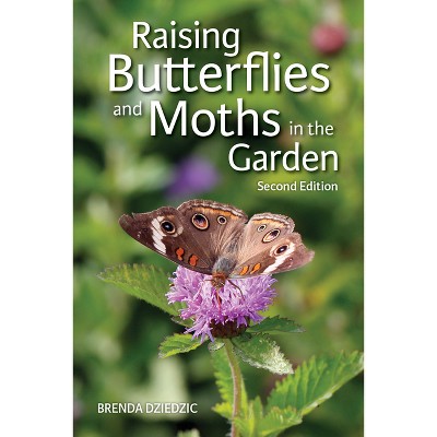 Raising Butterflies and Moths in the Garden - 2nd Edition by  Brenda Dziedzic (Paperback)