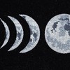 HomeRoots 17" X 29" Black And White Phases Of The Moon Outdoor Coir Door Mat - 4 of 4