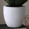 Northlight 13" Agave Artificial Potted Plant - Green - 3 of 4
