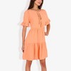 Anna-Kaci Women's Ruffle Sleeve Tiered Dress With Button And Tassel Detail - 2 of 4