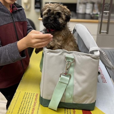 Fashion Duffel Dog And Cat Carrier S Boots Barkley Target