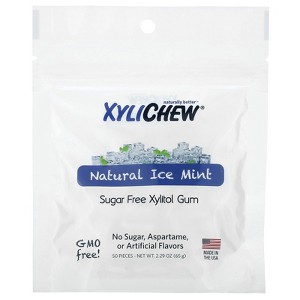 XyliDENT Xylichew, Natural ice Mint, 50 Pieces, 2.29 oz (65 g) - 1 of 2