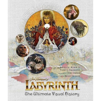 Labyrinth - by  Paula M Block & Terry J Erdmann (Hardcover)