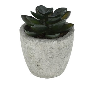 Unique Bargains Artificial Plants Pistachio in Mini Pulp Plastic Green 3.15"x3.15"x3.15" 1 Pcs - 1 of 4