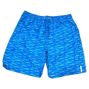 Mens Quick Dry Swim Trunks Bathing Suits - 1 of 1