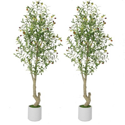 Tall Faux Olive Tree，5ft（60in） Tall Faux Olive Tree with White Planter and Green Fake Moss, 1 Pack
