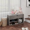 Shoe Storage Bench for Entryway - Cushioned Seat Bench with 2-Tier Shelves & Lift-Top Storage Box | Hallway Organizer Furniture - 2 of 4