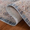 Kenitra KRA672 Area Rug  - Safavieh - 4 of 4
