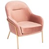 Eleazer Velvet Accent Chair - ACH6202 - Safavieh - 4 of 4