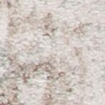 ivory/taupe