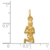 Black Bow Jewelry 14k Yellow Gold Virgo the Virgin Zodiac Satin and Diamond Cut Charm - 4 of 4