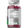 Horbaach Elderberry Gummies | with Zinc and Vitamin C | 120 Count - 2 of 4