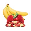 READYWISE Vegan Gluten Free Simple Kitchen Strawberries & Bananas - 6.6oz / 6ct - image 4 of 4