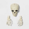 Glow in the Dark Skull with Hands Halloween Decorative Prop - Hyde and EEK! Boutique™: Antique Finish, Indoor/Outdoor Use - 3 of 3