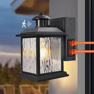 Cedar Hill 11 in. Black Motion Sensor Dusk to Dawn Outdoor Wall Sconce - 1 of 1