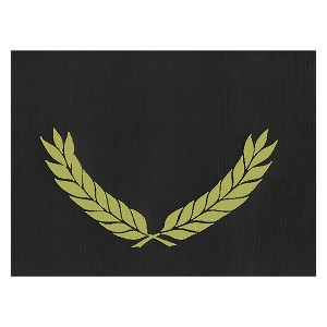 Hayes Publishing Gold Foil Stamped Black Certificate Folders, 10" x 13", Pack of 30 - 1 of 1
