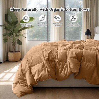 Puredown All Season Organic Cotton Down Comforter - 100% Natural, Chemical-Free, Medium Warmth Duvet Insert