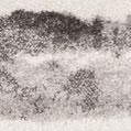 ivory/charcoal