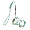 Pet Chest Strap with Angel Wings Anti Escape Cat Strap Set, Kitten Outdoor Walking Accessories, Green - 2 of 4