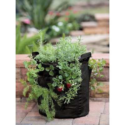 Gardener’s Best® Strawberry and Herb Grow Bag - Gardener's Supply Company