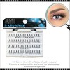Ardell Knot-Free Tapered Double Up Lashes - Long Black - 66504 (3-pack) - 3 of 3