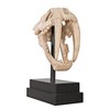 Design Toscano Saber-toothed Tiger Skull Artifact - 3 of 4