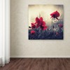 Trademark Fine Art -Philippe Sainte-Laudy 'Red For Love' Multi Panel Art Set - 3 of 3