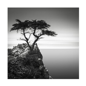 Trademark Fine Art -Dave MacVicar 'The Lone Cypress' Canvas Art - 1 of 4