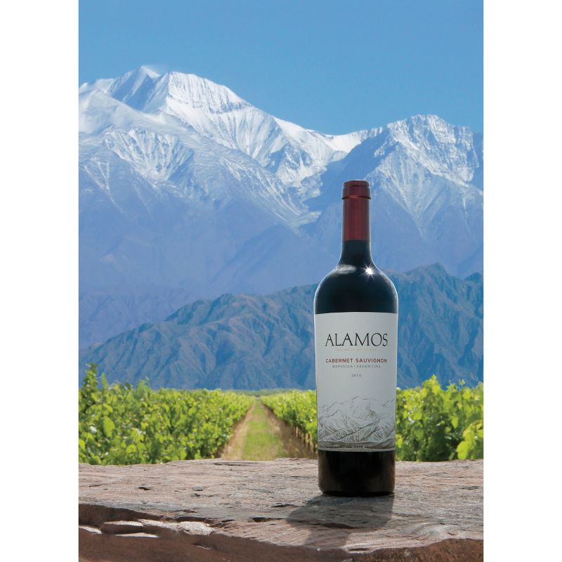 Alamos Cabernet Sauvignon Argentina Red Wine - 750ml Bottle, 4 of 6