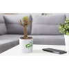eKids Guardians of the Galaxy Baby Groot Dancing Figure with Built-in Music (GG-408v23OLB) - 4 of 4