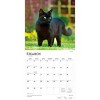 BrownTrout Black Cats 2026 12"x24" Hanging Square Wall Calendar Plastic-Free - 3 of 4
