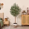 DR.Planzen 5/6/7FT Single-Trunk Artificial Olive Tree with White Planter, Faux Olive Plant for Indoor & Outdoor Home Decor - 4 of 4