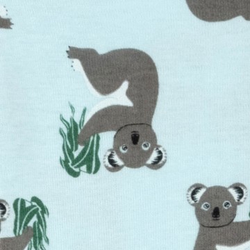 koala blue