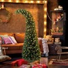 5 ft Prelit Christmas Tree, Whimsical Xmas Tree Slim High Mountain Fir with 100 LEDs and Metal Stand, Green - 2 of 4